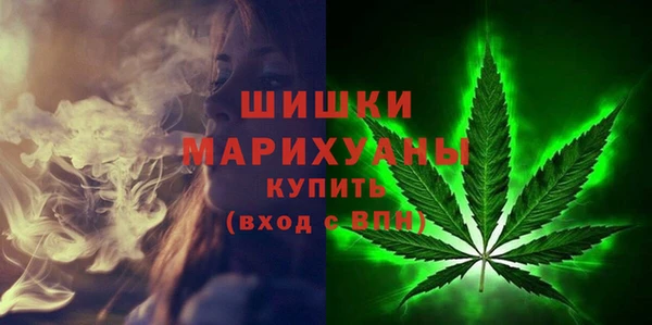 спиды Рославль