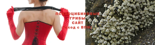 бутират Елабуга