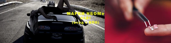 ПСИЛОЦИБИНОВЫЕ ГРИБЫ Кулебаки