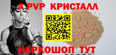 амф Кингисепп