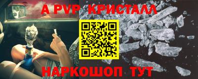 амф Кингисепп