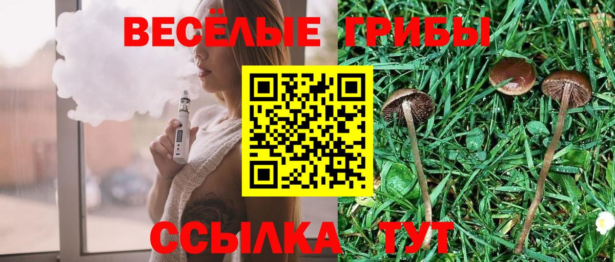 Псилоцибиновые грибы мицелий  Псилоцибиновые грибы мухоморы  Вход с VPN  Сердобск 