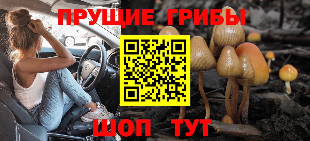 Псилоцибиновые грибы Psilocybe  Сердобск 